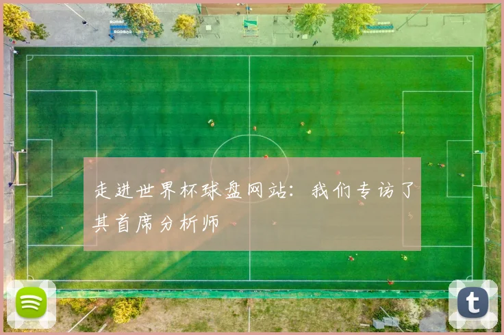 走进世界杯球盘网站：我们专访了其首席分析师