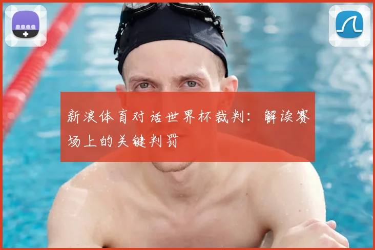 新浪体育对话世界杯裁判：解读赛场上的关键判罚