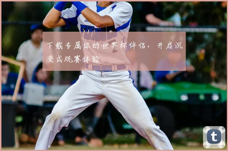 下载专属你的世界杯伴侣，开启沉浸式观赛体验